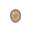 icon: toy_shield
