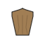 icon: tunic_brown